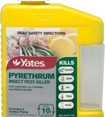 Yates Insecticide Pyrethrum Insect Pest Killer 200 ml